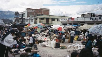 Photos from North Ecuador and Venezuela